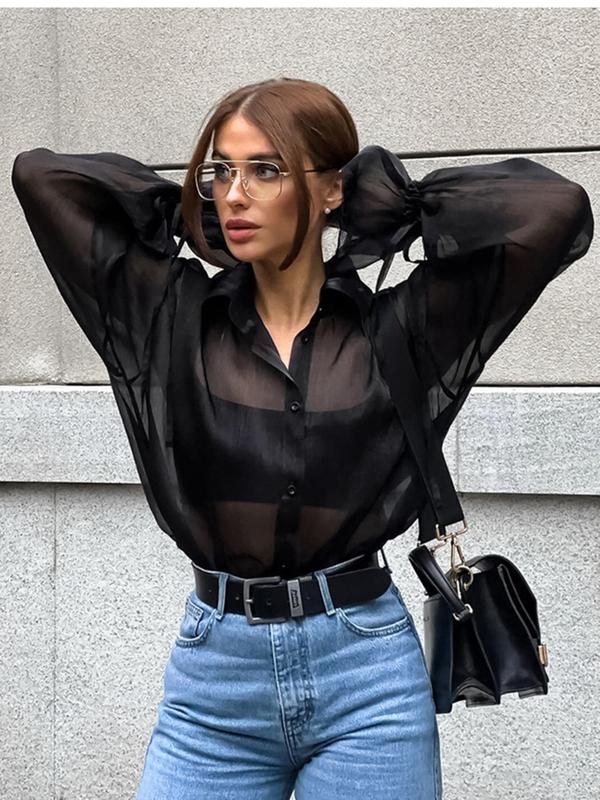 Women's Sheer Flounce Ruffle Trim  Sleeve Button Front Shirt, Elegant Long Sleeve Collared Top for Daily Wear, Ladies Clothes for All Seasons